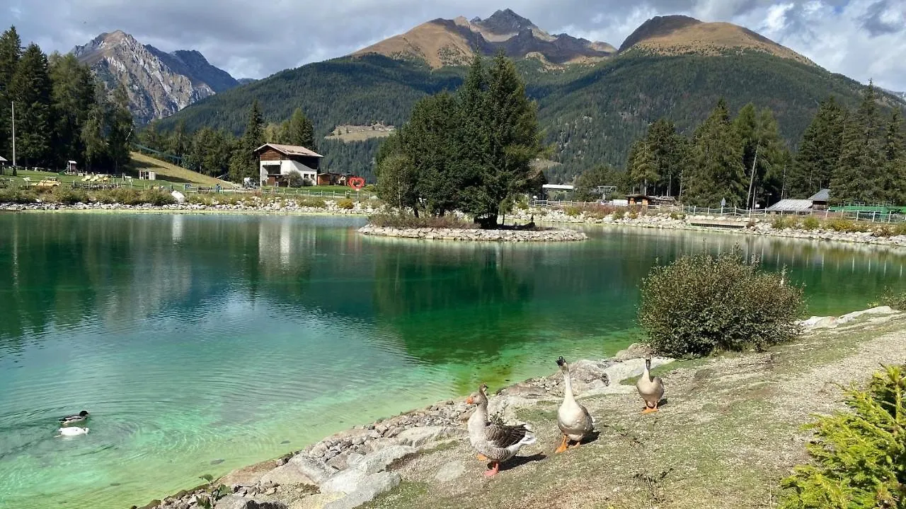 La Casa Bianca - Ski, Hike & Bike Passo del Tonale 0*,  Italy