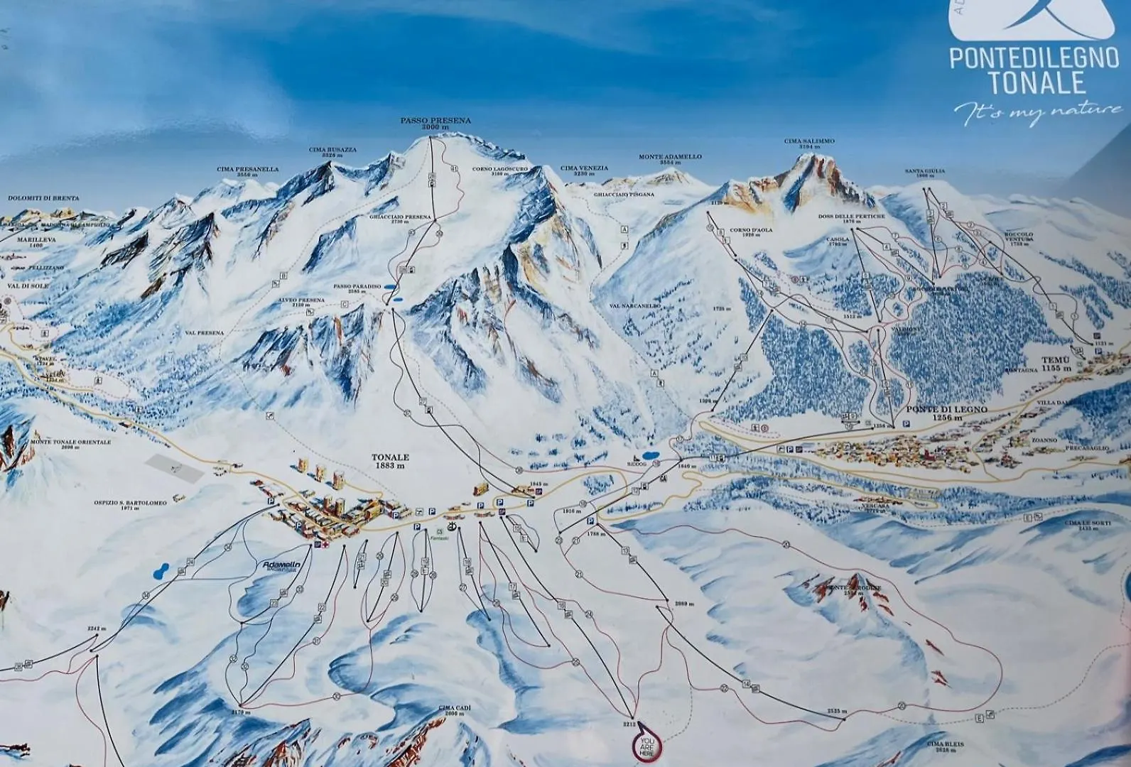 Apartment La Casa Bianca - Ski, Hike & Bike Passo del Tonale Italy