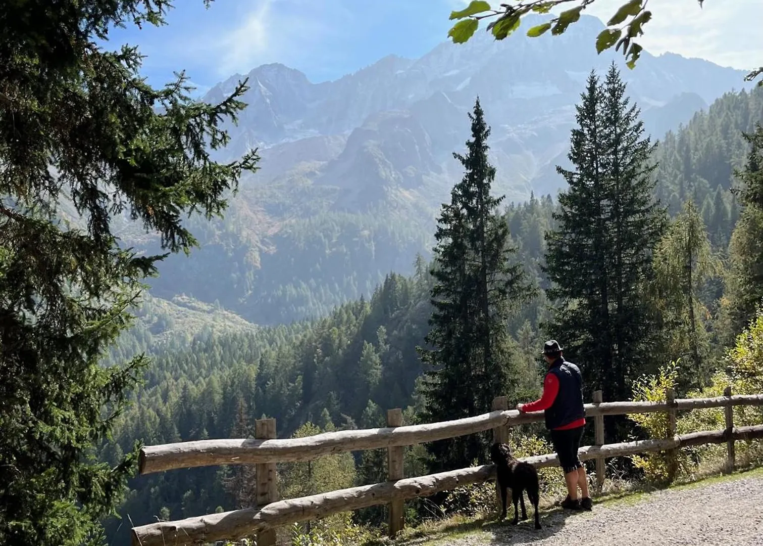 Apartment La Casa Bianca - Ski, Hike & Bike Passo del Tonale Italy